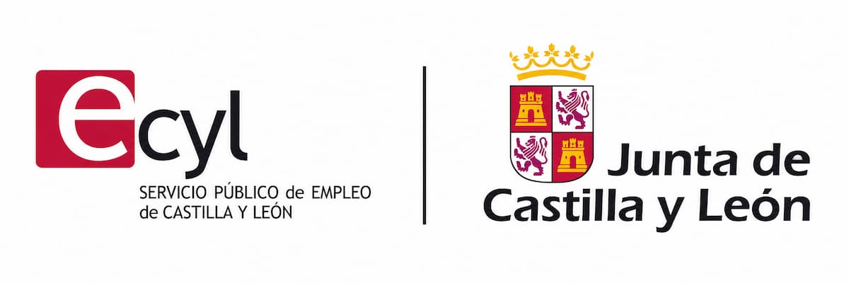 Junta de Castilla y León